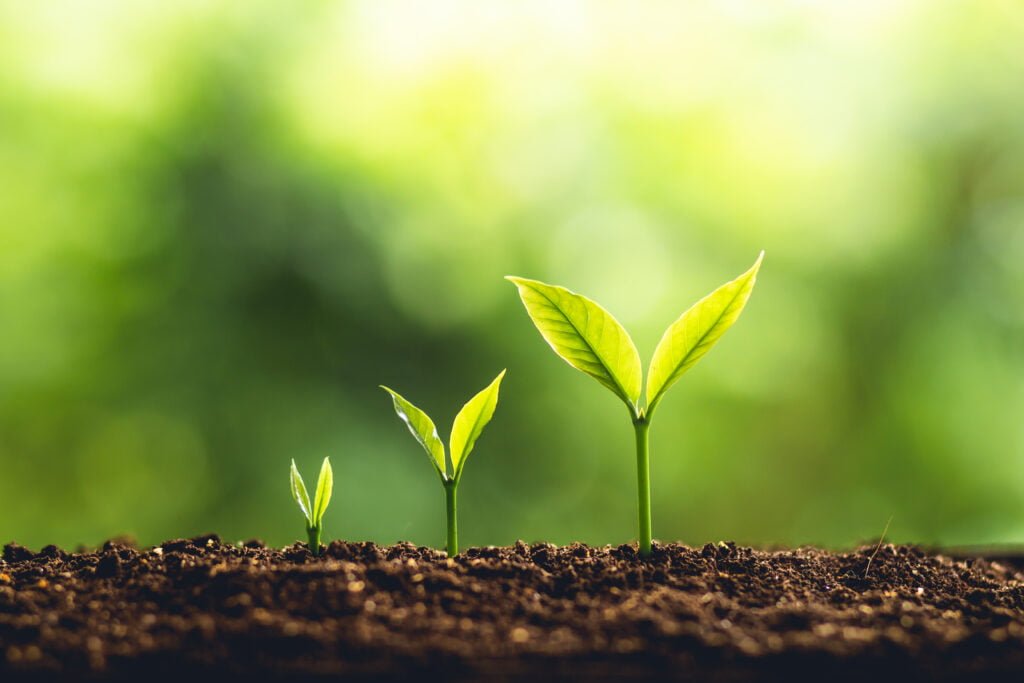 Biz Growth 3